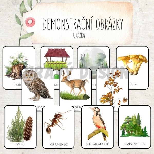 Foto: Demonstrační obrázky - podzim v lese 
