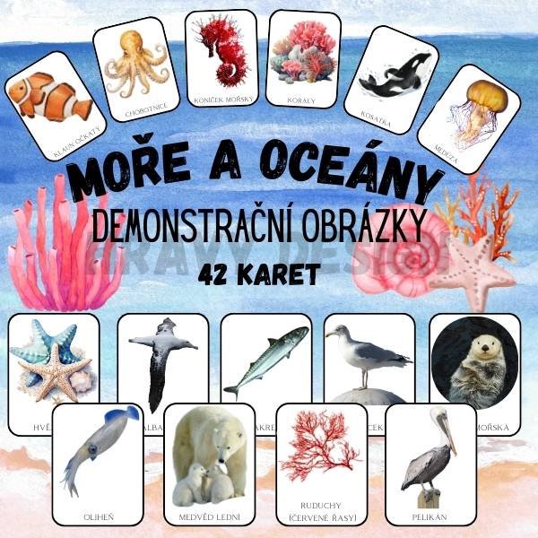 Foto: Demonstrační obrázky na téma moře a oceány - Hravý Design 