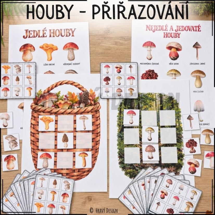 Houby jedlé, nejedlé a jedovaté