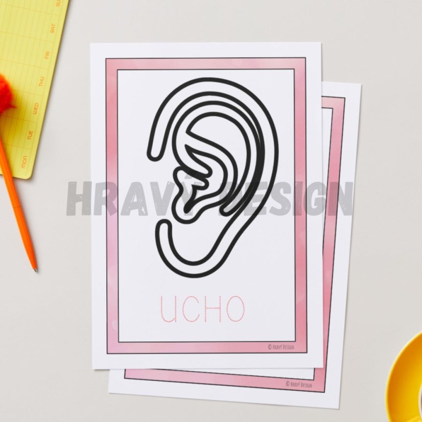 Naše tělo - šablony na plastelínu 