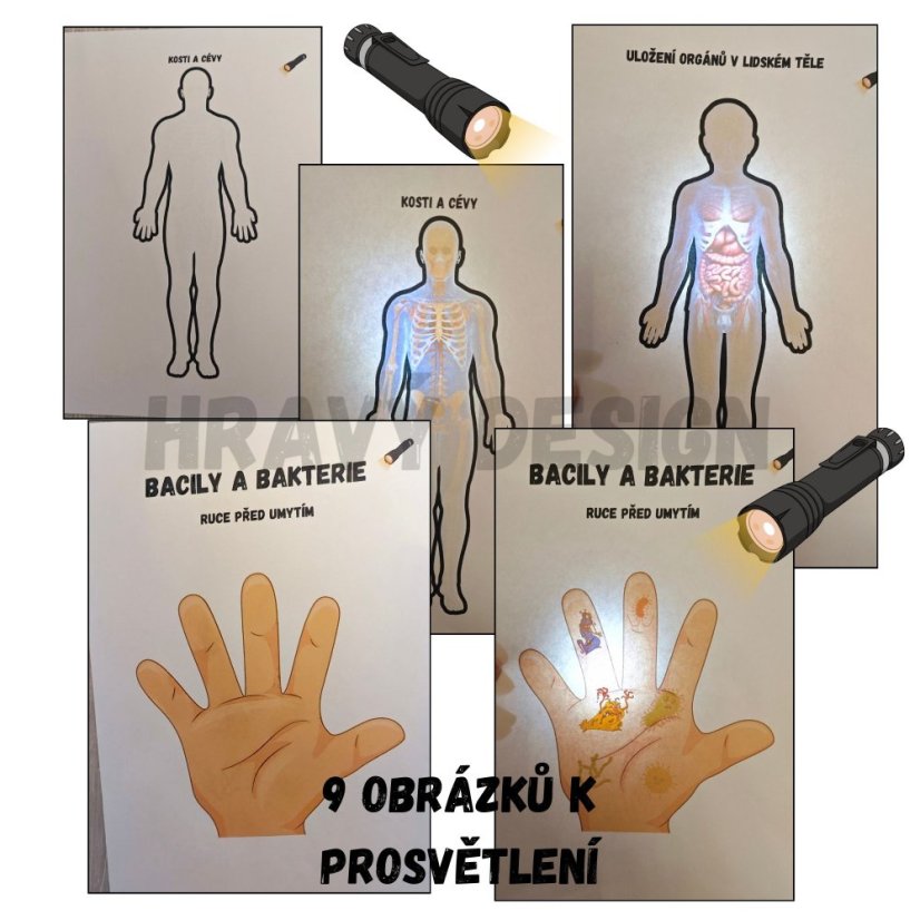 Foto: Posviť na to - lidské tělo - hravý Design 