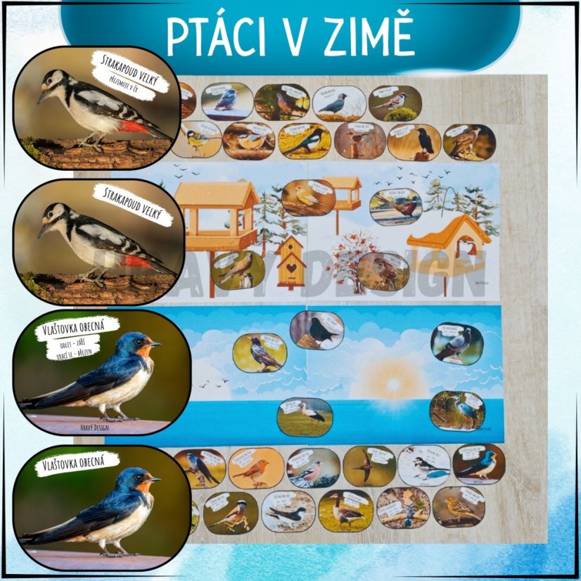 Ptáci v zimě - PDF pro MŠ a ZŠ