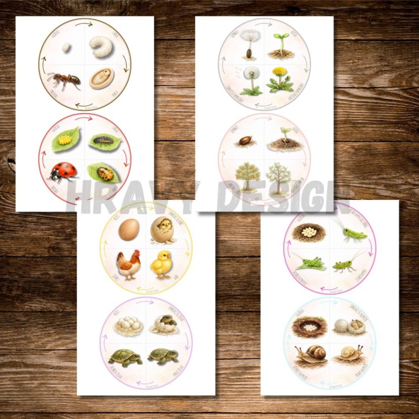 Životní cykly - Skládačky