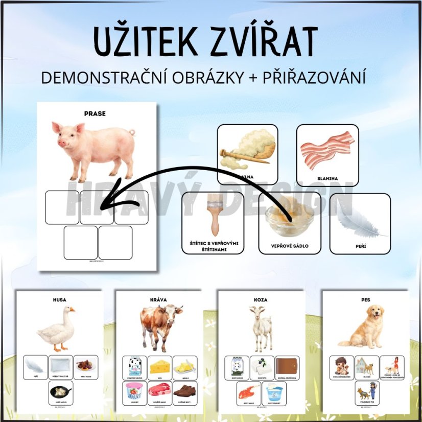 Užitek zvířat - PDF pracovní listy pro děti 