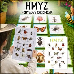 Hmyz - pohybový chodníček - PDF pro děti 