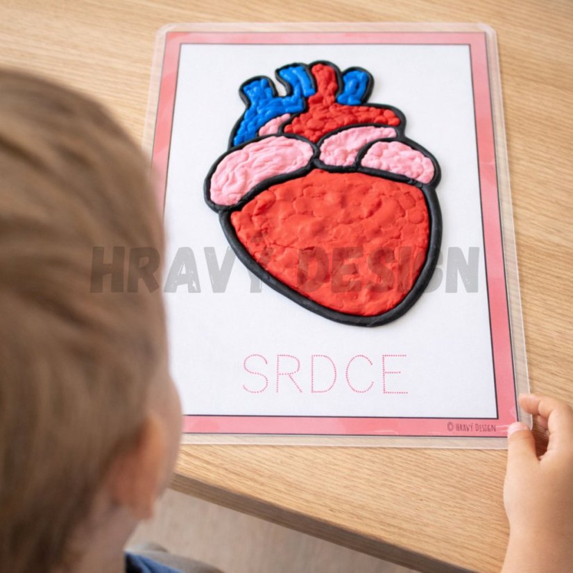 Šablony na plastelínu - Lidské tělo