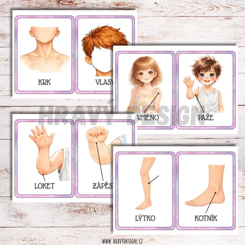 Lidské tělo - demonstrační obrázky