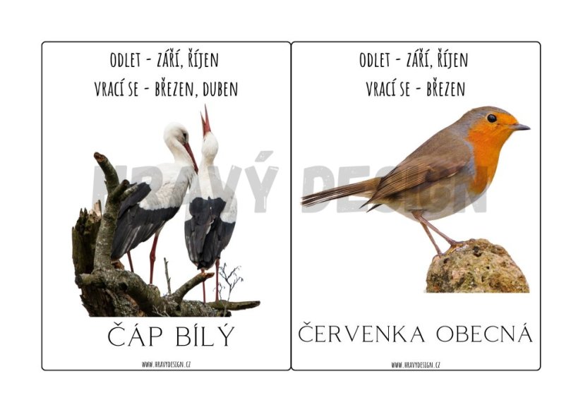 PTÁCI ČR - Demonstrační obrázky -