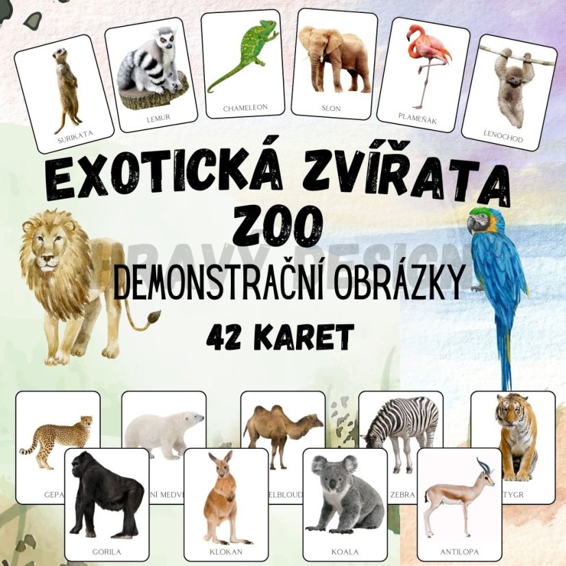 Foto: Zvířátka v ZOO  - demonstrační obrázky pro děti v MŠ