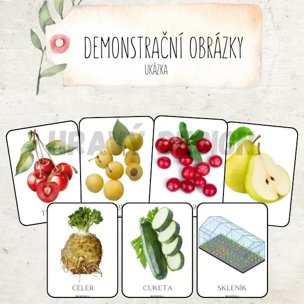 OVOCE A ZELENINA - (nejen) na zahrádce
