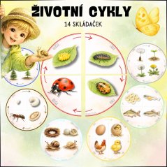 Životní cykly - skládačky pro děti 