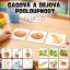 Časová a dějová posloupnost