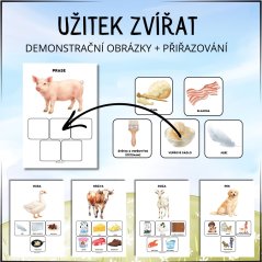 Užitek zvířat - PDF pracovní listy pro děti 