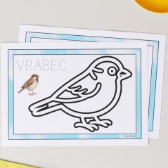 Ptáci - šablony na plastelínu