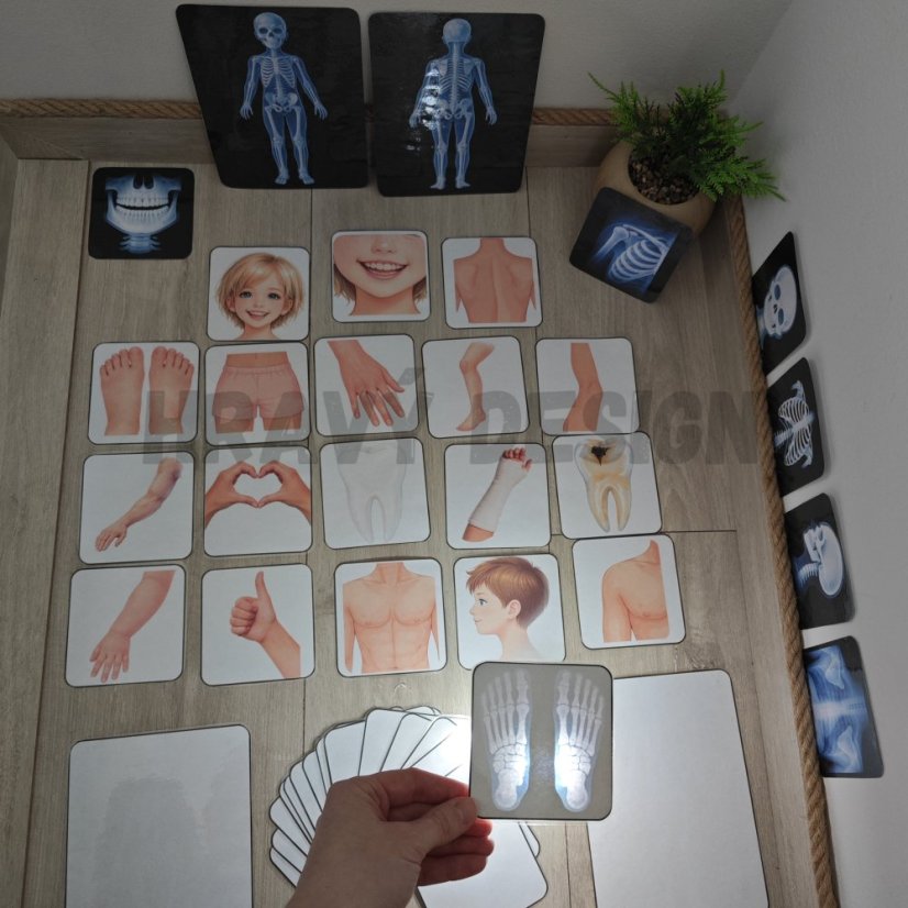 Rentgeny - Lidské tělo - Prosvětlovací obrázky