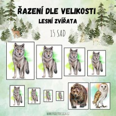 Foto: zvířata v lese mš - řazení dle velikosti 