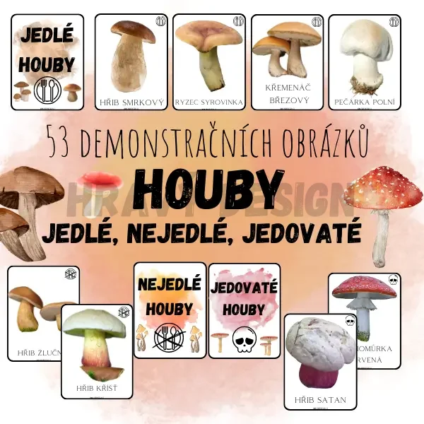 Foto: Demonstrační obrázky - houby - jedné, nejedlé, jedovaté 