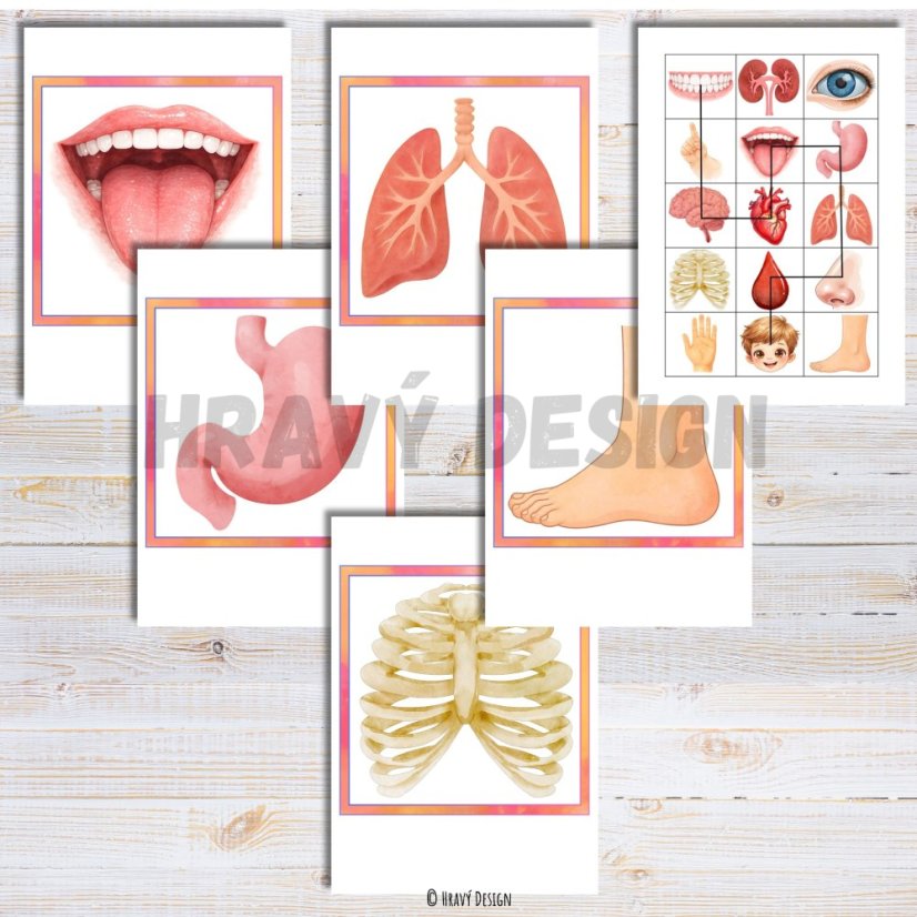 Pohybový chodníček  - Lidské tělo