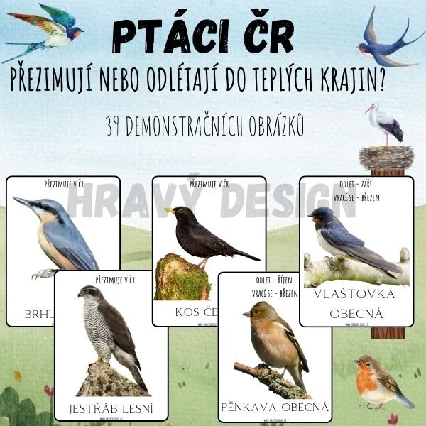 PTÁCI ČR - Demonstrační obrázky -