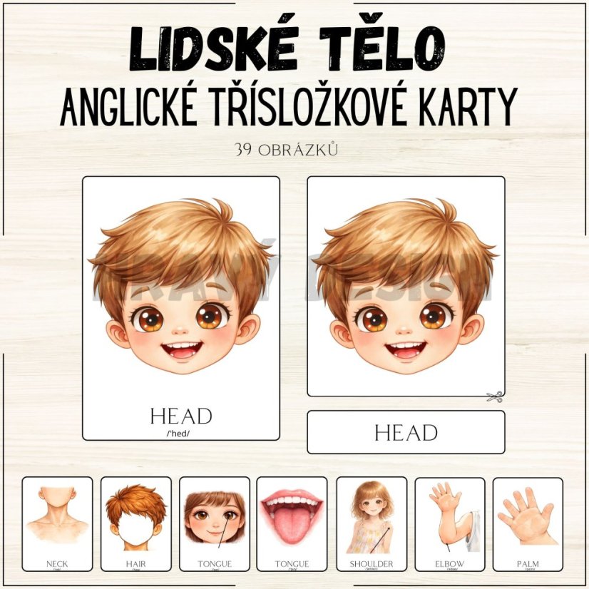 Anglické třísložkové karty - Lidské tělo