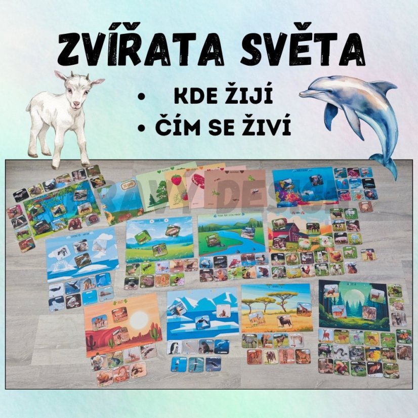 Obrázky na téma zvířata světa do MŠ - biotopy, druhy potravy. 