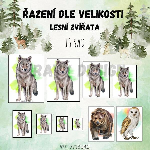 Foto: zvířata v lese mš - řazení dle velikosti 