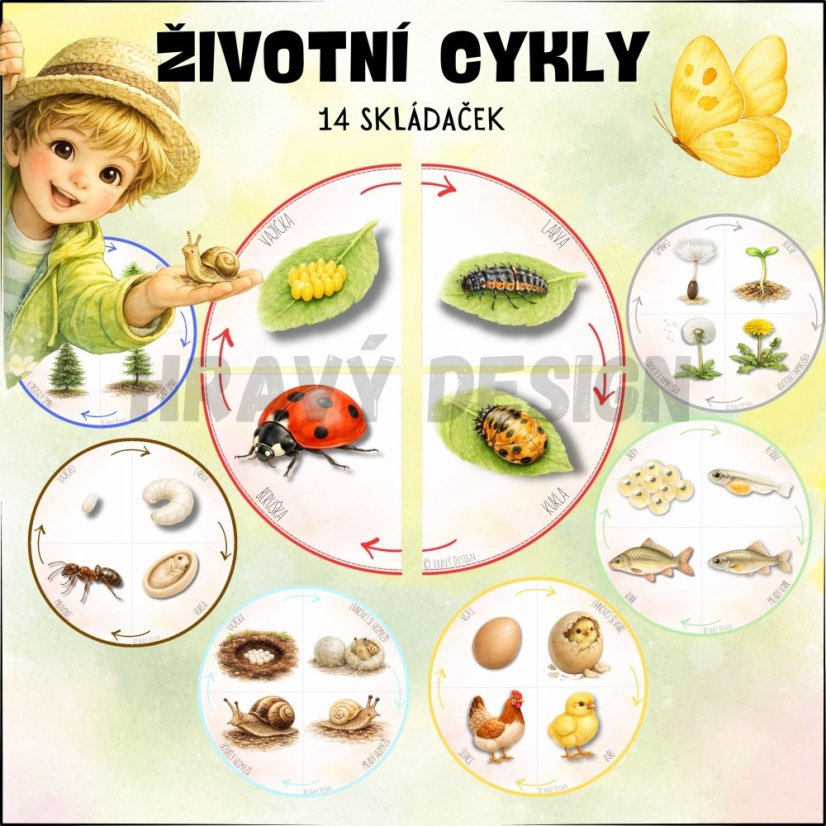 Životní cykly - skládačky pro děti 