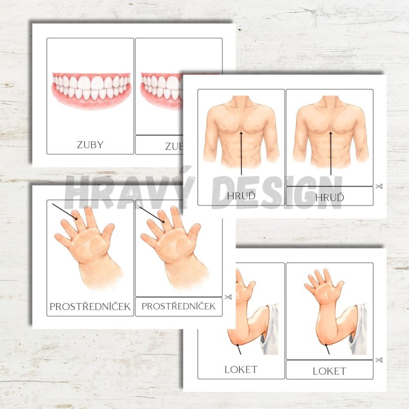 Třísložkové karty - Lidské tělo