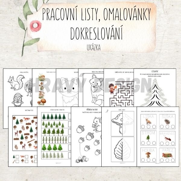 Podzim v lese, dary podzimu - 127 STRAN