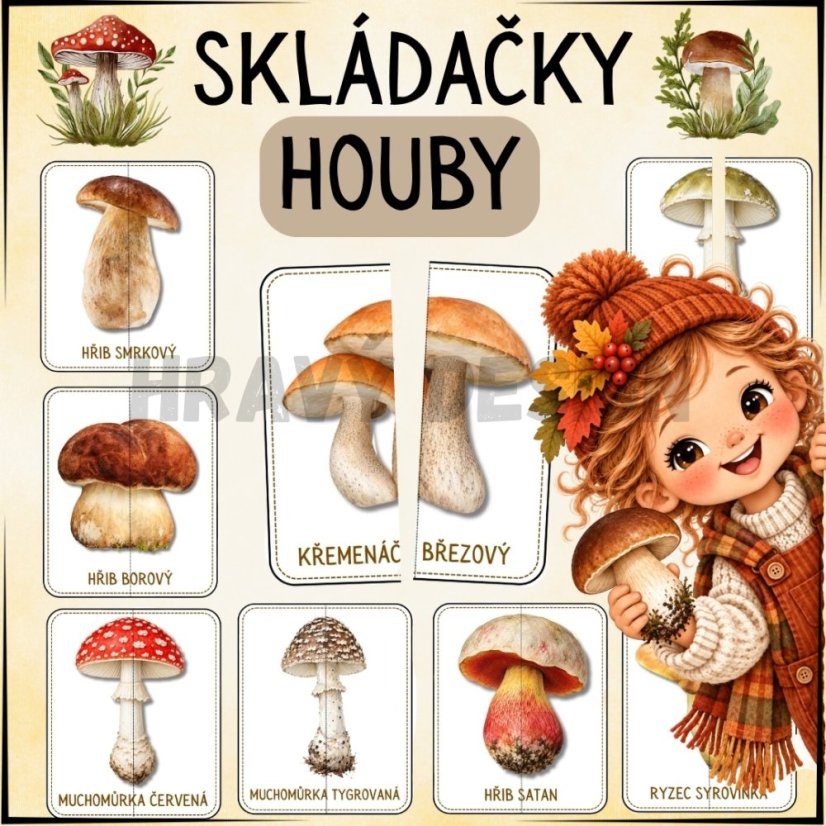 Skládačky – Houby
