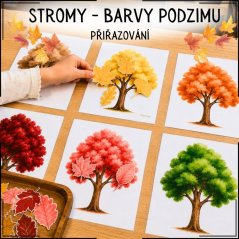 Stromy - barvy podzimu