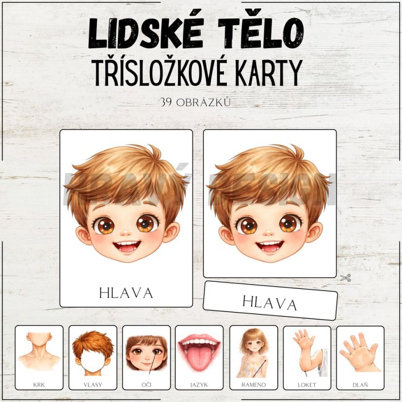 Třísložkové karty - Lidské tělo - výukové materiály do MŠ