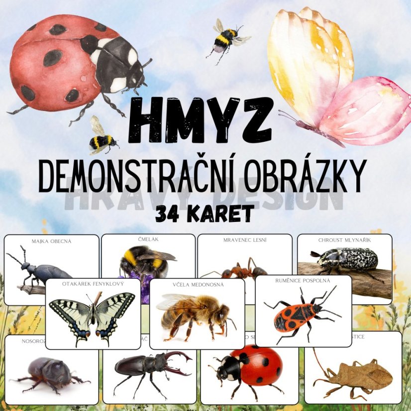 Demonstrační obrázky - hmyz - PDF pro děti do MŠ