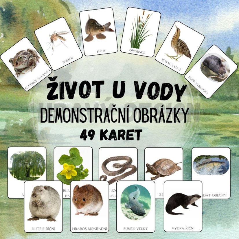 Foto: Život u vody - demonstrační obrázky pro v MŠ - Hravý Design 