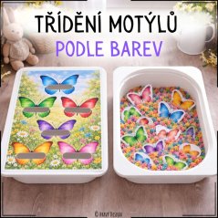 Motýli - třídění podle barev