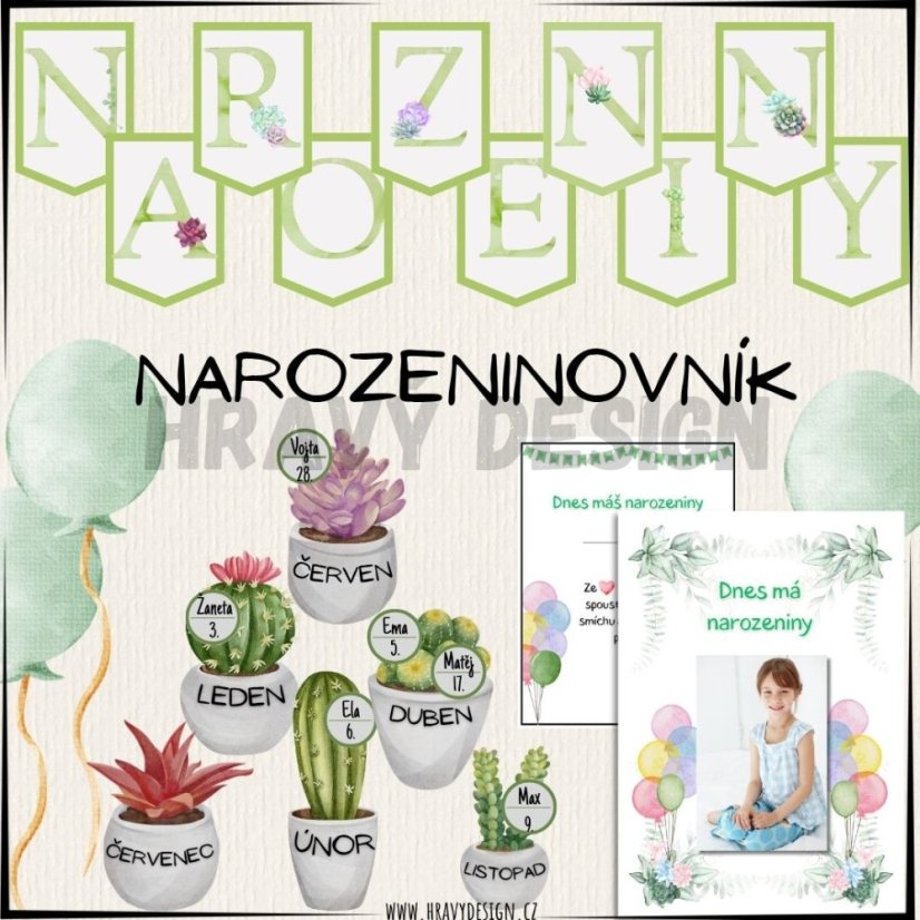 Foto: Narozeninovník - Sukulenty/květiny