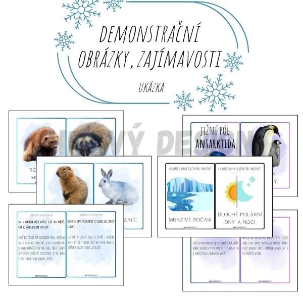 Foto: Demonstrační obrázky na téma - Polární oblasti, polární zvířata 
