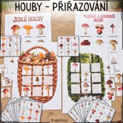 Houby jedlé, nejedlé a jedovaté