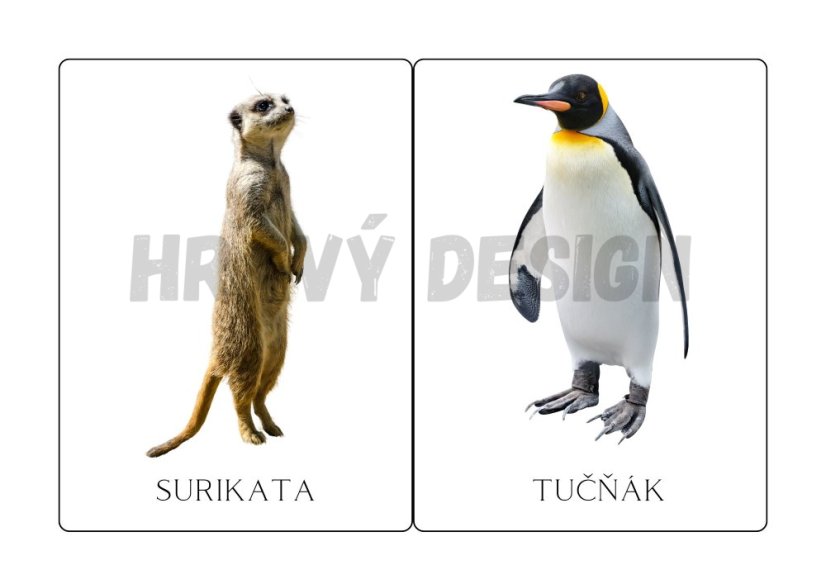 DEMONSTRAČNÍ OBRÁZKY - ZOO, EXOTICKÁ ZVÍŘATA