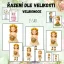 Foto: Řazení dle velikosti - Velikonoce