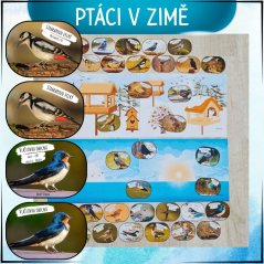 Ptáci v zimě - PDF pro MŠ a ZŠ